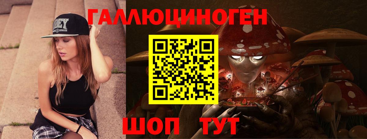 Каменск-Шахтинский  наркошоп  Псилоцибиновые грибы Cubensis  Вход с VPN  Псилоцибиновые грибы ЛСД 
