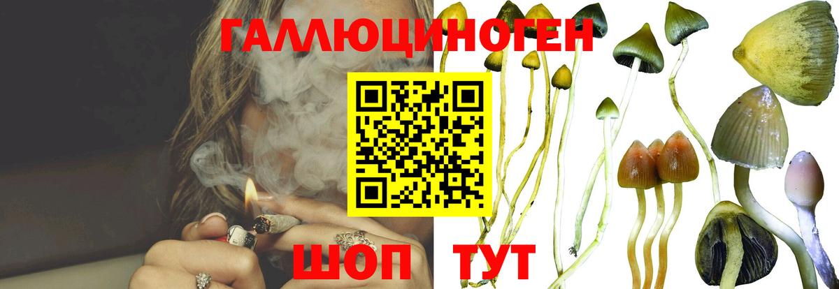Галлюциногенные грибы прущие грибы Каменск-Шахтинский